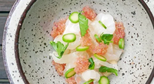 SummerLsyerod_480x480